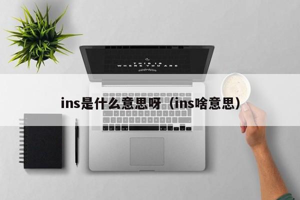 ins是什么意思呀（ins啥意思）-第1张图片