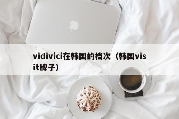 vidivici在韩国的档次（韩国visit牌子）-第1张图片