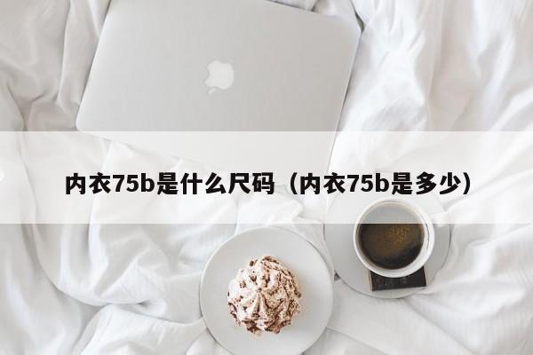 内衣75b是什么尺码（内衣75b是多少）-第1张图片