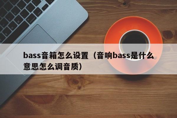 bass音箱怎么设置（音响bass是什么意思怎么调音质）-第1张图片