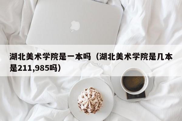 湖北美术学院是一本吗（湖北美术学院是几本是211,985吗）-第1张图片