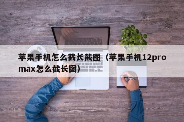 苹果手机怎么截长截图（苹果手机12promax怎么截长图）-第1张图片