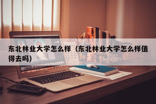 东北林业大学怎么样（东北林业大学怎么样值得去吗）-第1张图片