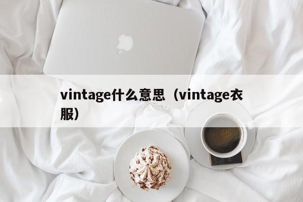 vintage什么意思（vintage衣服）-第1张图片