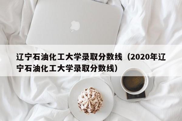 辽宁石油化工大学录取分数线（2020年辽宁石油化工大学录取分数线）-第1张图片