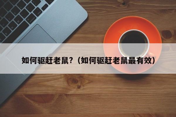 如何驱赶老鼠?（如何驱赶老鼠最有效）-第1张图片