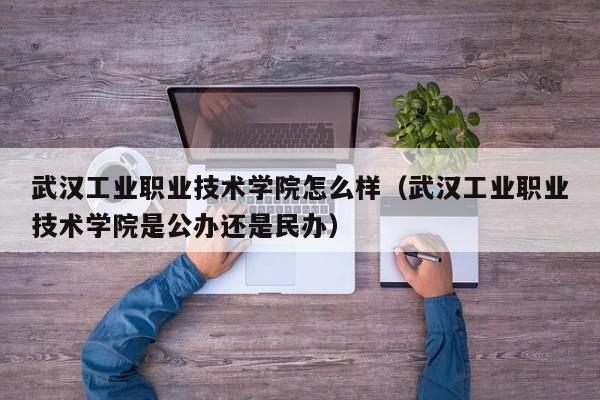 武汉工业职业技术学院怎么样（武汉工业职业技术学院是公办还是民办）-第1张图片