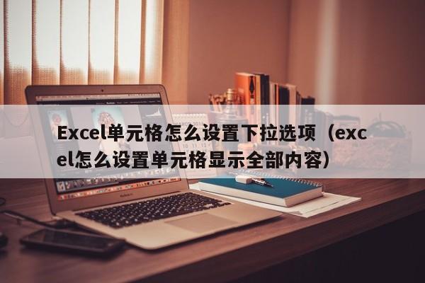 Excel单元格怎么设置下拉选项（excel怎么设置单元格显示全部内容）-第1张图片