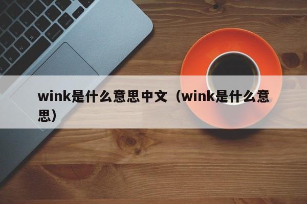 wink是什么意思中文（wink是什么意思）-第1张图片