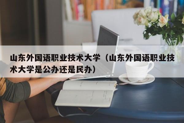 山东外国语职业技术大学（山东外国语职业技术大学是公办还是民办）-第1张图片