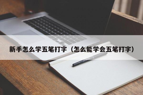 新手怎么学五笔打字（怎么能学会五笔打字）-第1张图片