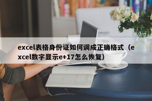 excel表格身份证如何调成正确格式（excel数字显示e+17怎么恢复）-第1张图片