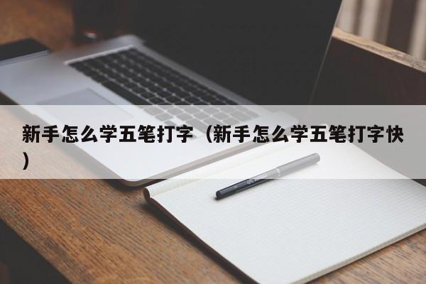 新手怎么学五笔打字（新手怎么学五笔打字快）-第1张图片