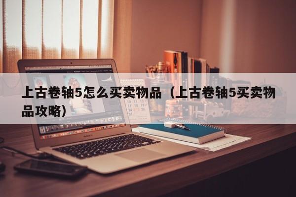 上古卷轴5怎么买卖物品（上古卷轴5买卖物品攻略）-第1张图片