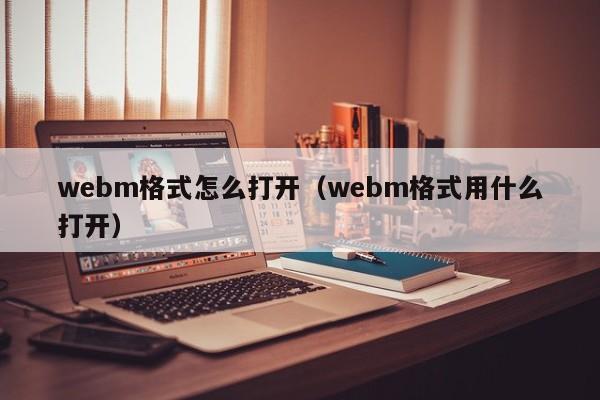 webm格式怎么打开（webm格式用什么打开）-第1张图片