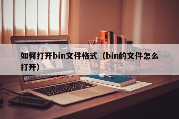 如何打开bin文件格式（bin的文件怎么打开）-第1张图片