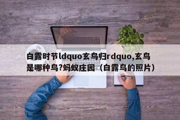 白露时节ldquo玄鸟归rdquo,玄鸟是哪种鸟?蚂蚁庄园（白露鸟的照片）-第1张图片