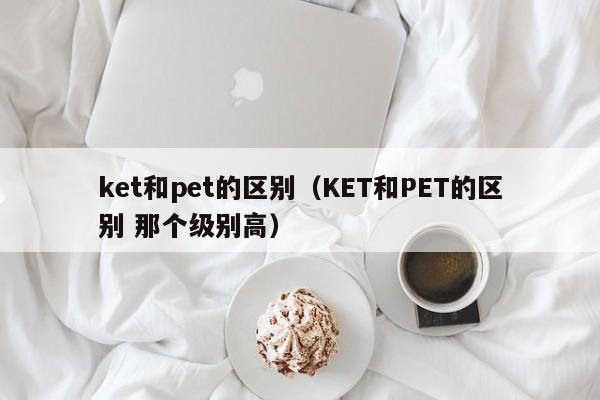 ket和pet的区别（KET和PET的区别 那个级别高）-第1张图片