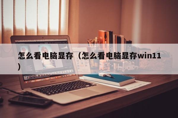 怎么看电脑显存（怎么看电脑显存win11）-第1张图片