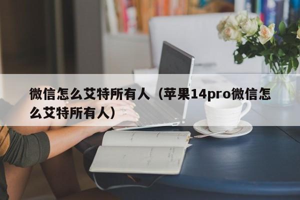 微信怎么艾特所有人（苹果14pro微信怎么艾特所有人）-第1张图片