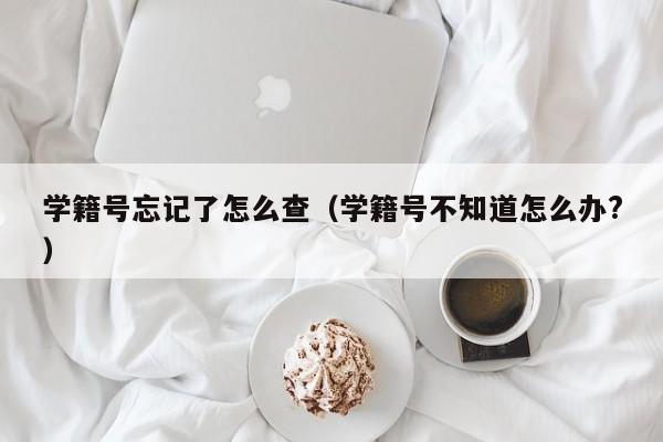 学籍号忘记了怎么查（学籍号不知道怎么办?）-第1张图片