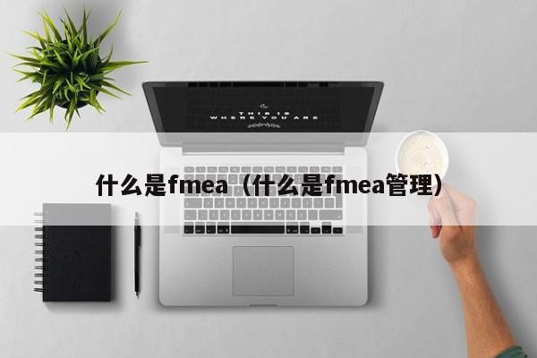 什么是fmea（什么是fmea管理）-第1张图片