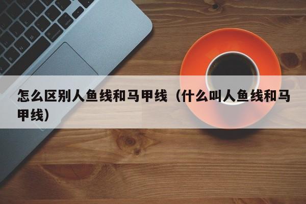 怎么区别人鱼线和马甲线（什么叫人鱼线和马甲线）-第1张图片