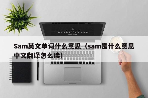 Sam英文单词什么意思（sam是什么意思中文翻译怎么读）-第1张图片