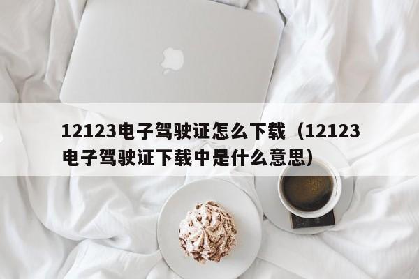 12123电子驾驶证怎么下载（12123电子驾驶证下载中是什么意思）-第1张图片