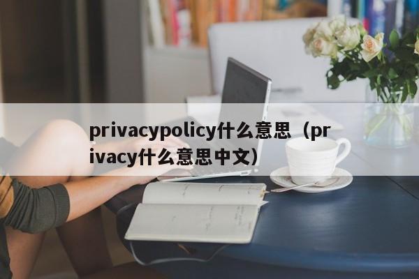 privacypolicy什么意思（privacy什么意思中文）-第1张图片