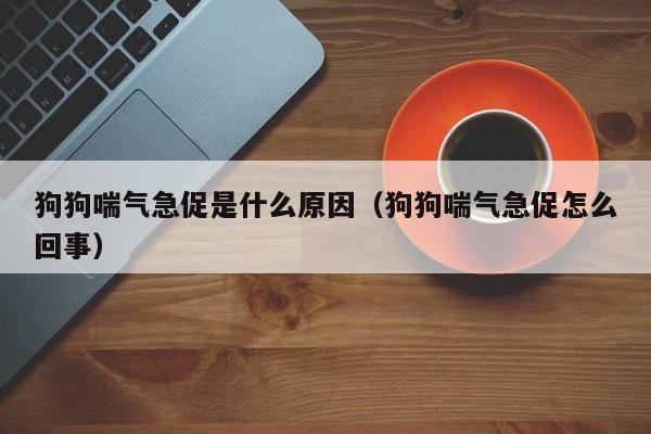 狗狗喘气急促是什么原因（狗狗喘气急促怎么回事）-第1张图片