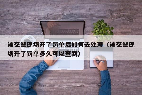 被交警现场开了罚单后如何去处理（被交警现场开了罚单多久可以查到）-第1张图片