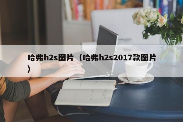 哈弗h2s图片（哈弗h2s2017款图片）-第1张图片