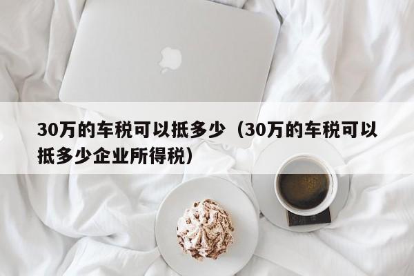 30万的车税可以抵多少（30万的车税可以抵多少企业所得税）-第1张图片