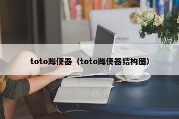 toto蹲便器（toto蹲便器结构图）-第1张图片