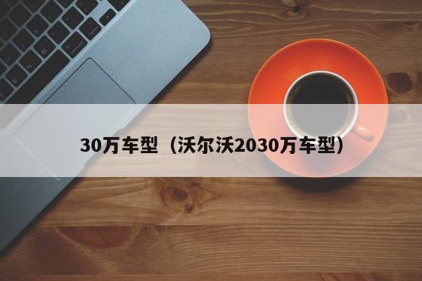 30万车型（沃尔沃2030万车型）-第1张图片