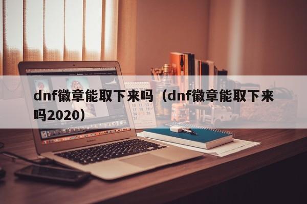 dnf徽章能取下来吗（dnf徽章能取下来吗2020）-第1张图片