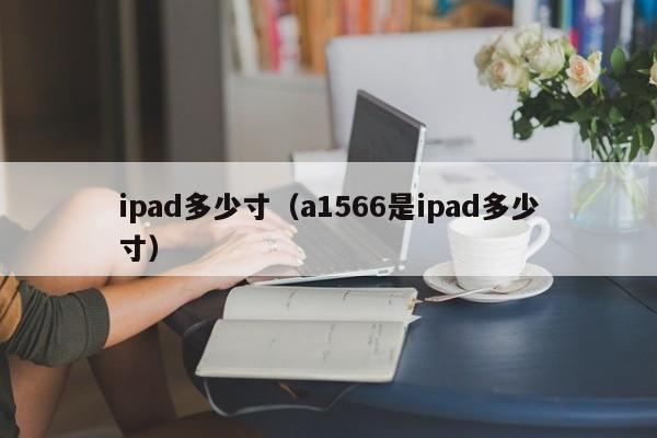 ipad多少寸（a1566是ipad多少寸）-第1张图片