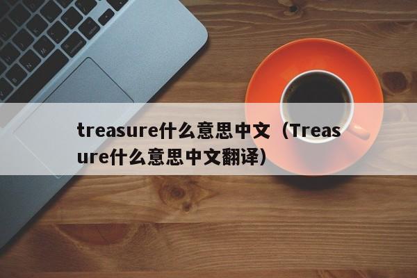 treasure什么意思中文（Treasure什么意思中文翻译）-第1张图片