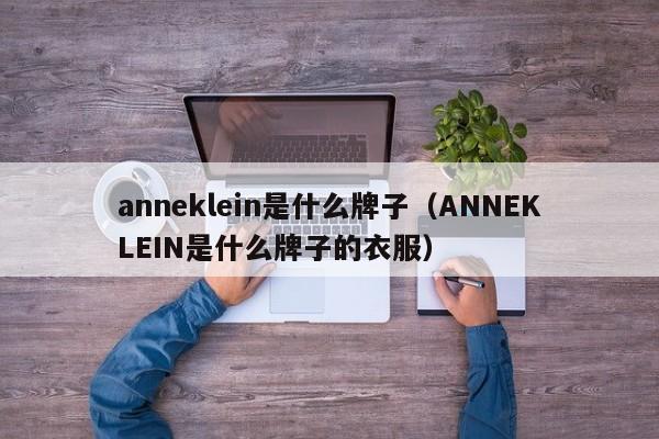 anneklein是什么牌子（ANNEKLEIN是什么牌子的衣服）-第1张图片