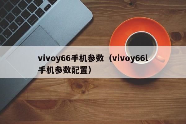 vivoy66手机参数（vivoy66l手机参数配置）-第1张图片