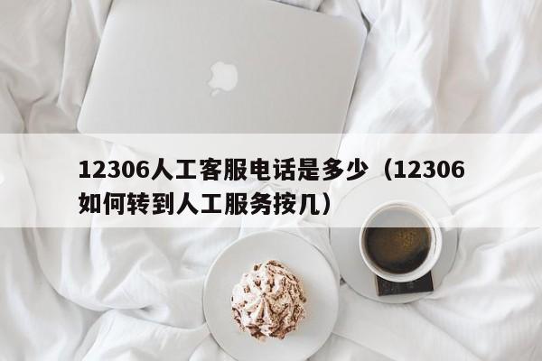 12306人工客服电话是多少（12306如何转到人工服务按几）-第1张图片