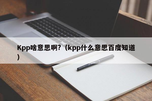 Kpp啥意思啊?（kpp什么意思百度知道）-第1张图片