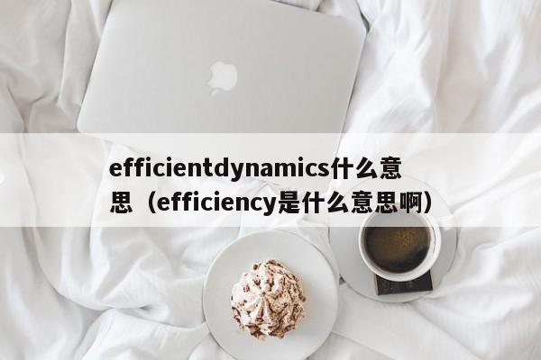 efficientdynamics什么意思（efficiency是什么意思啊）-第1张图片