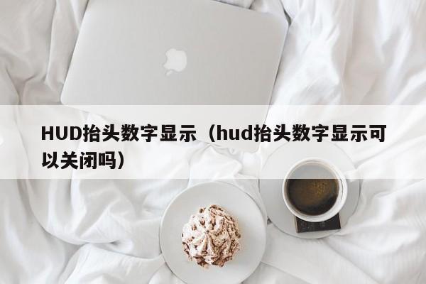 HUD抬头数字显示（hud抬头数字显示可以关闭吗）-第1张图片