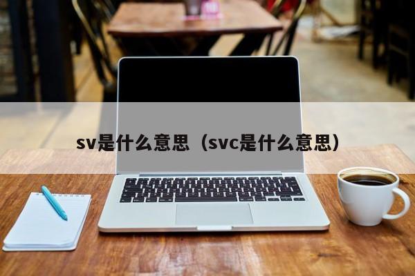 sv是什么意思（svc是什么意思）-第1张图片