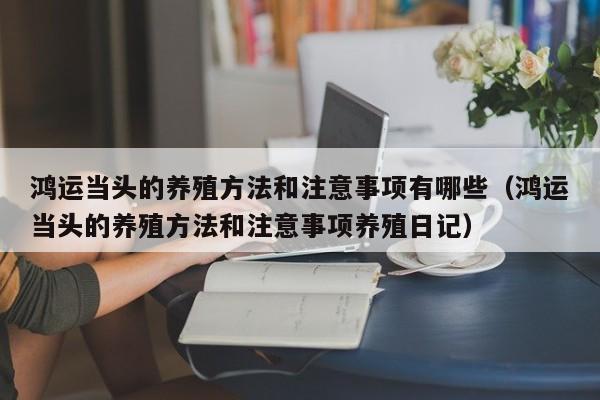 鸿运当头的养殖方法和注意事项有哪些（鸿运当头的养殖方法和注意事项养殖日记）-第1张图片