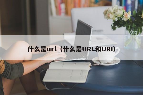 什么是url（什么是URL和URI）-第1张图片