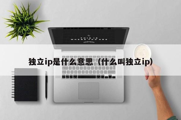 独立ip是什么意思（什么叫独立ip）-第1张图片