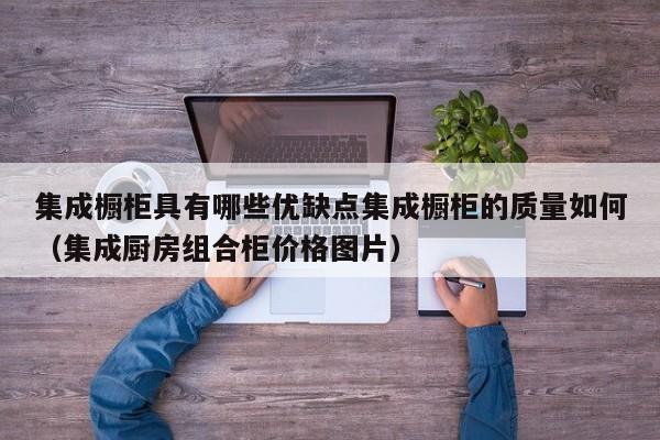 集成橱柜具有哪些优缺点集成橱柜的质量如何（集成厨房组合柜价格图片）-第1张图片